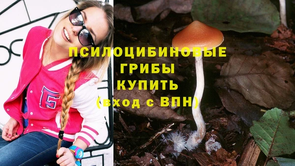 спиды Касимов