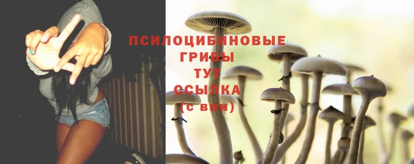 мдпв Киреевск